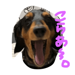 mimi_2019
