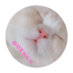 taro_20190130114753