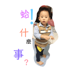 硯硯的日常生活2 – LINE貼圖 | LINE STORE