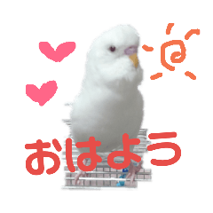rika_20190130184816