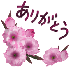 Spring flowers(Japanese)