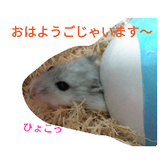 asu_20190130225317