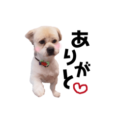 Greeting stamp (Dog ver.)