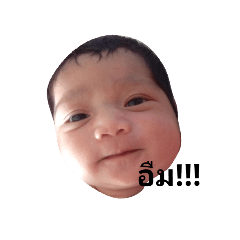 ice_20190131154733