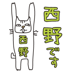 Only for Mr. Nishino Banzai Cat