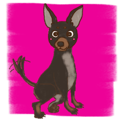 Toy Manchester Terrier,TORTY 2