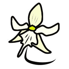 常見生物說你好