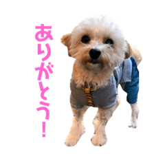 taki_20190130230632