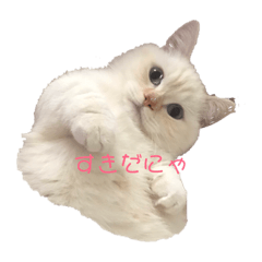 marina_20190130123434