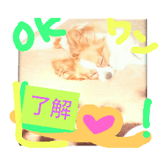 Lun_20190130133125