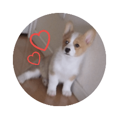 mizuki_20190118205650