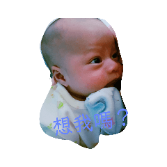 勳G寶的Q萌表情包