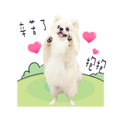 博美犬BOBO-日常用語