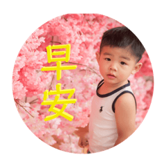 誠實的過每一天