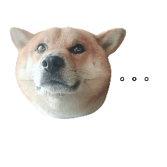 小酷脫脫