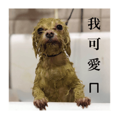 哺哺兒