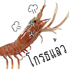 (Animation)Shrimp Thai