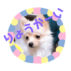 kaede_201901212205010