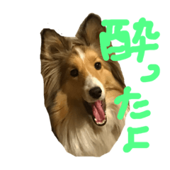 meme_20190128203315