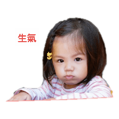 我們家的3個寶貝