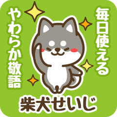 Petit Black Shiba Seiji (Honorific)
