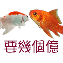 Goldfish and red