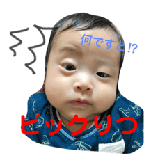 Ritsumaru-tanuki0829