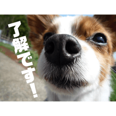 HIDe_20190118231351