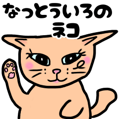 Natto color cats