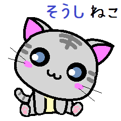 Soushi cat