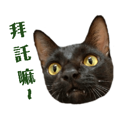 阿比與小花爺爺