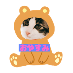 yama_20190122180446