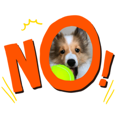 meme_20190130162450