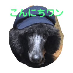 mimi_20190125151545