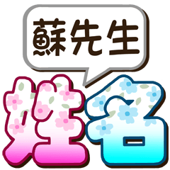 051Mr. Su-big name sticker