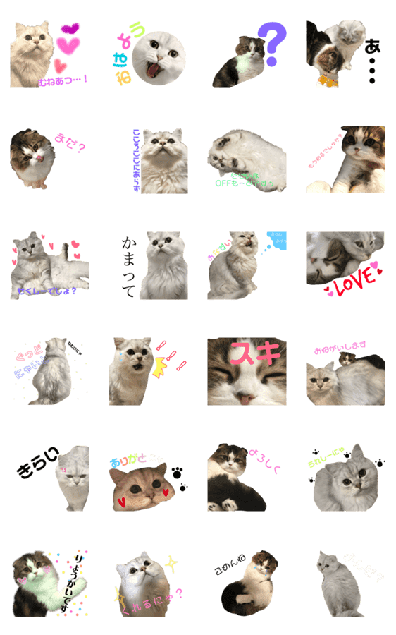 愛猫リズムくんとチャームちゃん Lineクリエイターズスタンプ Stamplist