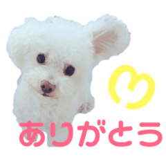 kayo_20190131191456