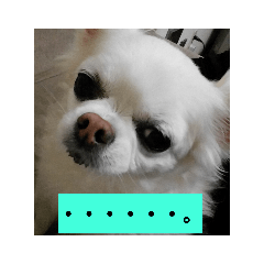 mint_20190131203353