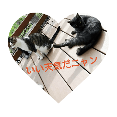 satomin_20190131213638