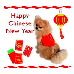 Zhi Ji Hong (Happy Chinese New Year)