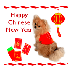 Zhi Ji Hong (Happy Chinese New Year)