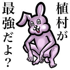 Pink bunny sticker! Uemura