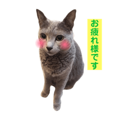 Nozomi_20190131234437