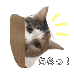 kinako stamp2 -2019.02