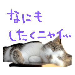mo_20190201234045