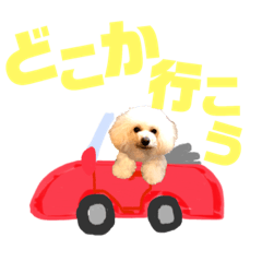 CoochanChannel_20190202134024