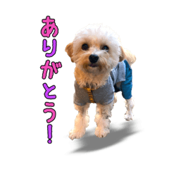taki_20190202071814