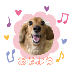 yukari_20190202154410