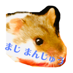 yuma_20190201225734