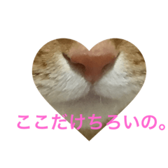 suzu_20190202011457